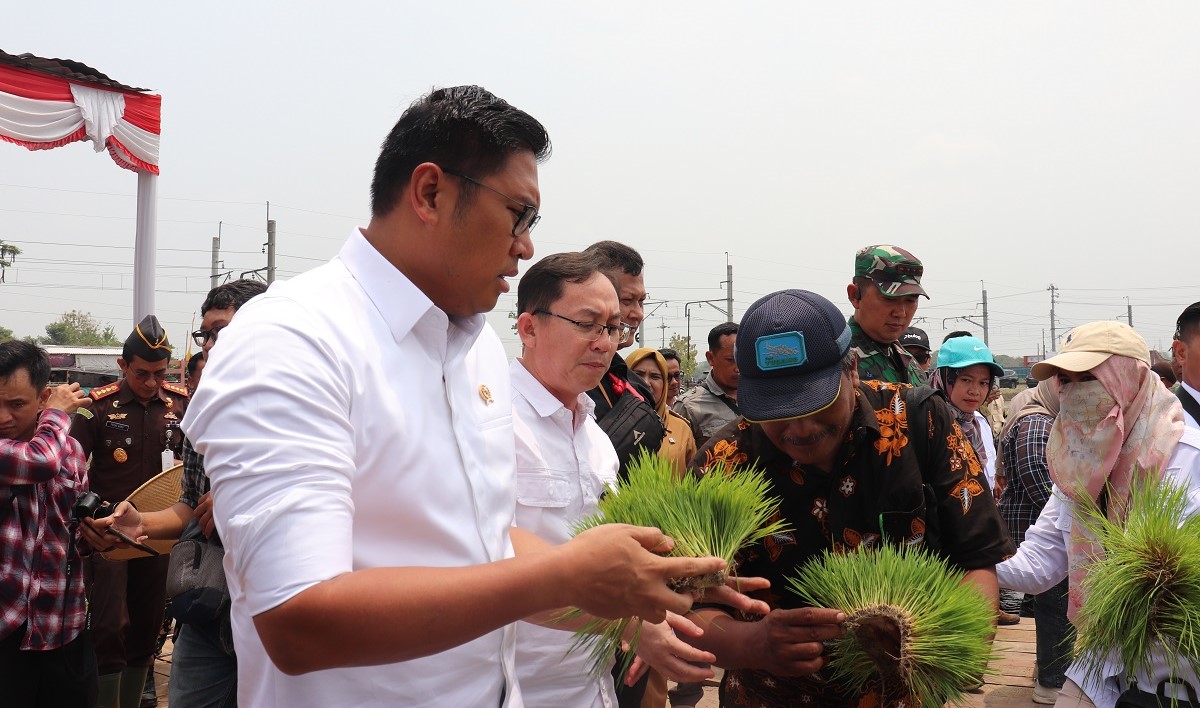 Kunjungi Lokasi PAT, Wamentan Optimis Klaten Produktif