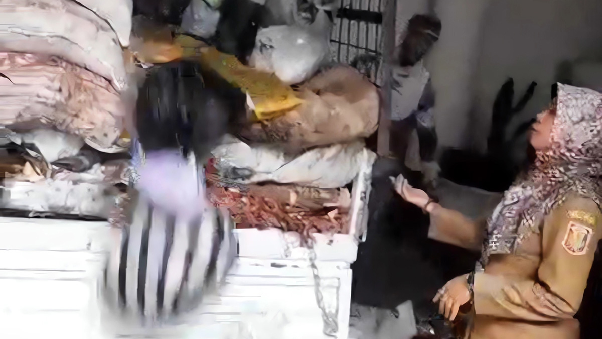 Gegara TPA Ditutup Warga Wonosobo Ngamuk Lempar Sampah ke Kantor DLH