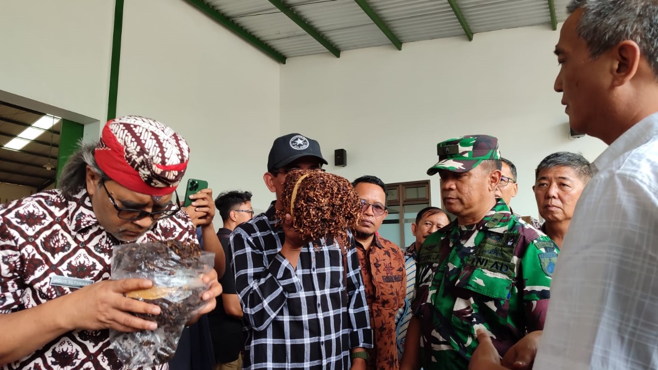 Meski Cuaca Buruk, Pabrikan Rokok Serap 70% Tembakau Temanggung