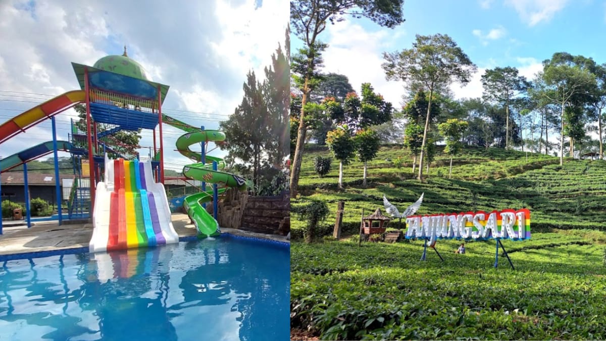 Patut Dikunjungi! Asiknya Berenang & Menikmati Hamparan Kebun Teh Di Tanjungsari Land, Wisata Baru Wonosobo 