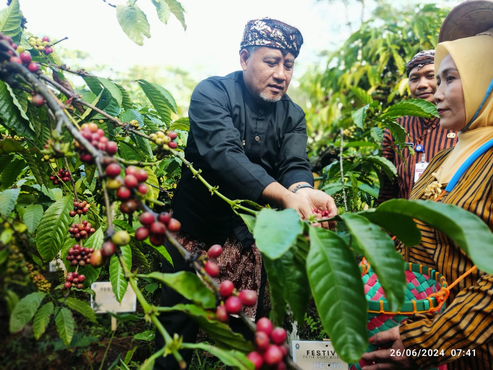  Festival Petik Kopi di Temanggung, Petani Diminta Tingkatkan Kualitas