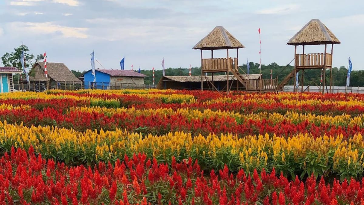 Taman Bunga Celosia, Wisata Hits Semarang yang Bikin Kamu Nggak Mau Pulang