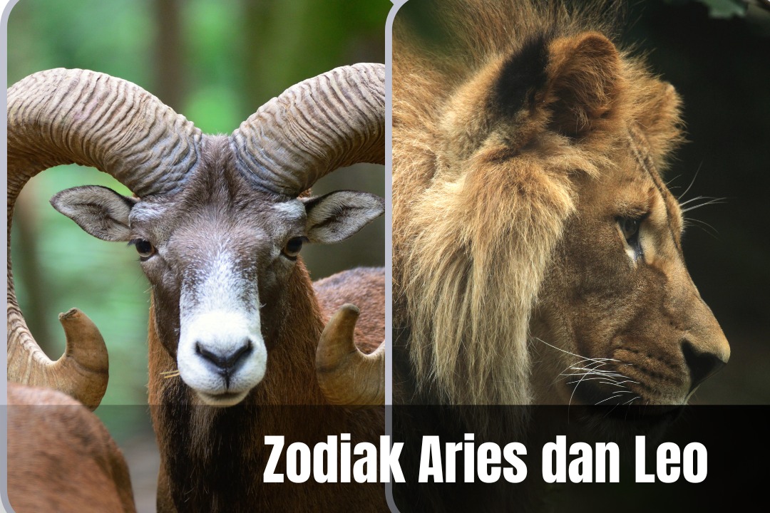 Ramalan Zodiak Hari Ini, Capricorn, Sagitarius dan Scorpio Selamat dapat Durian Jatuh, Leo dan Aries Hati-hati