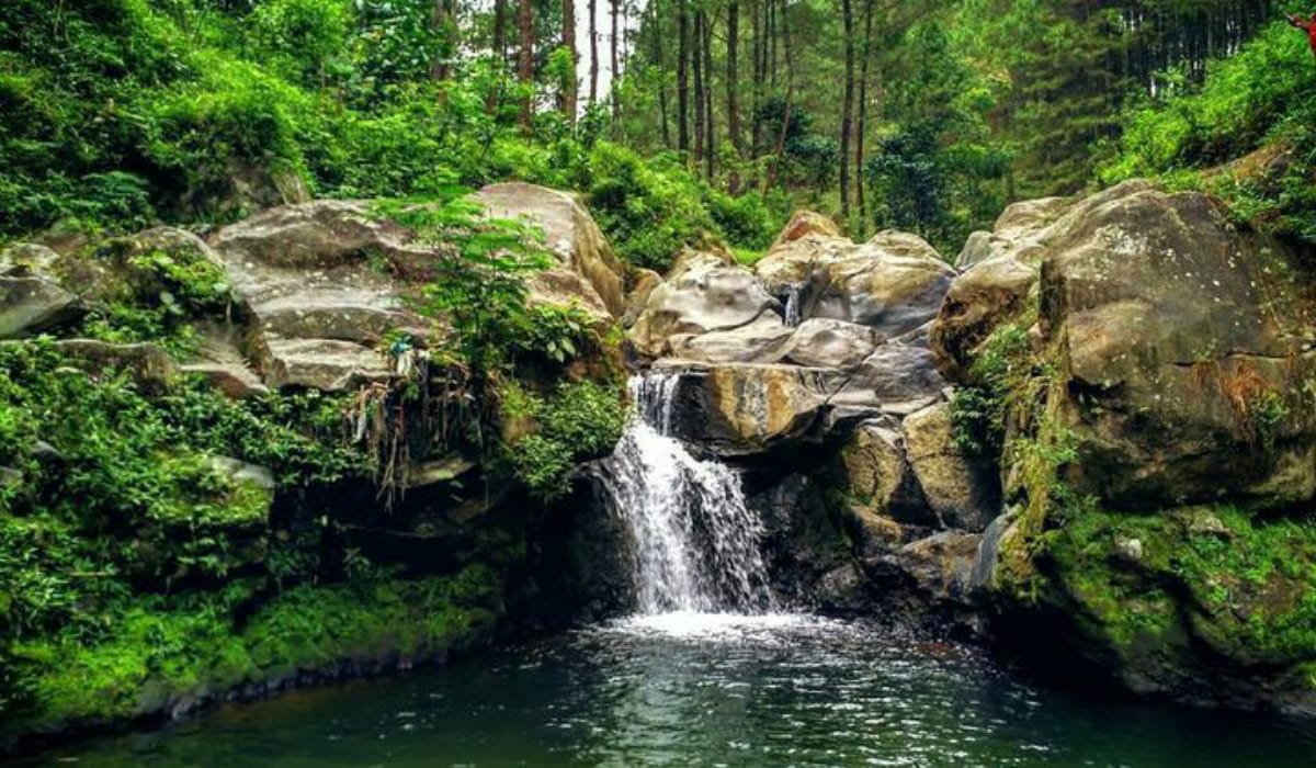 Segarnya Kedung Sembrani, Kolam Alami yang Tersembunyi Didalam Hutan Pinus Gunung Merbabu