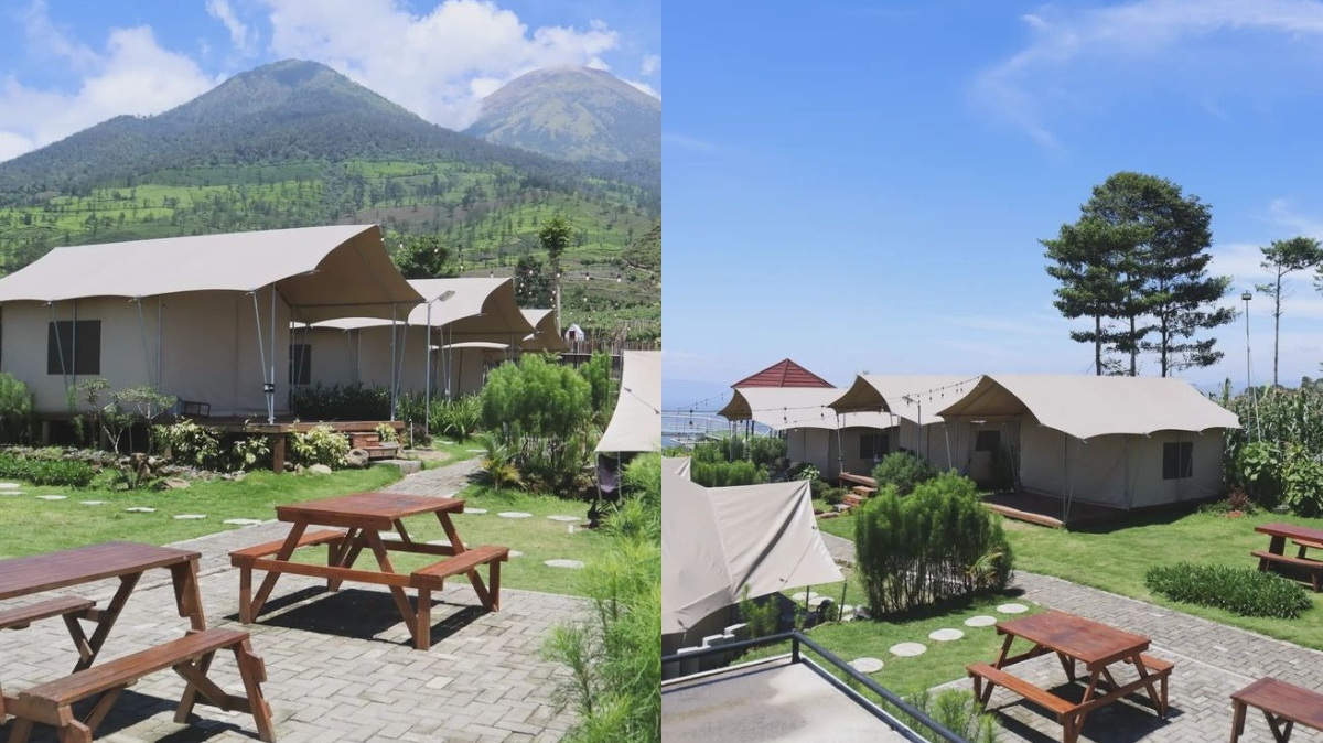 Mulai Rp 300 Ribuan! Nikmati Staycation Di Glamping The Moby Park Yang Ada Di Wonosobo Yang Penuh Pesona 