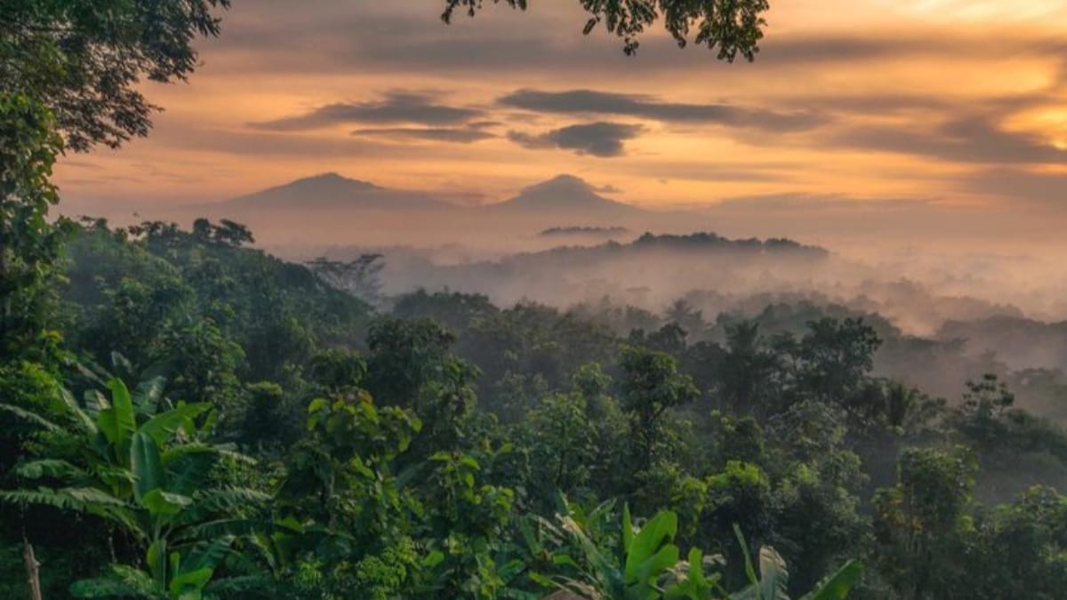 Menikmati Pesona Keindahan Matahari Terbit dan Candi Borobudur dari Ketinggian di Bukit Barede 