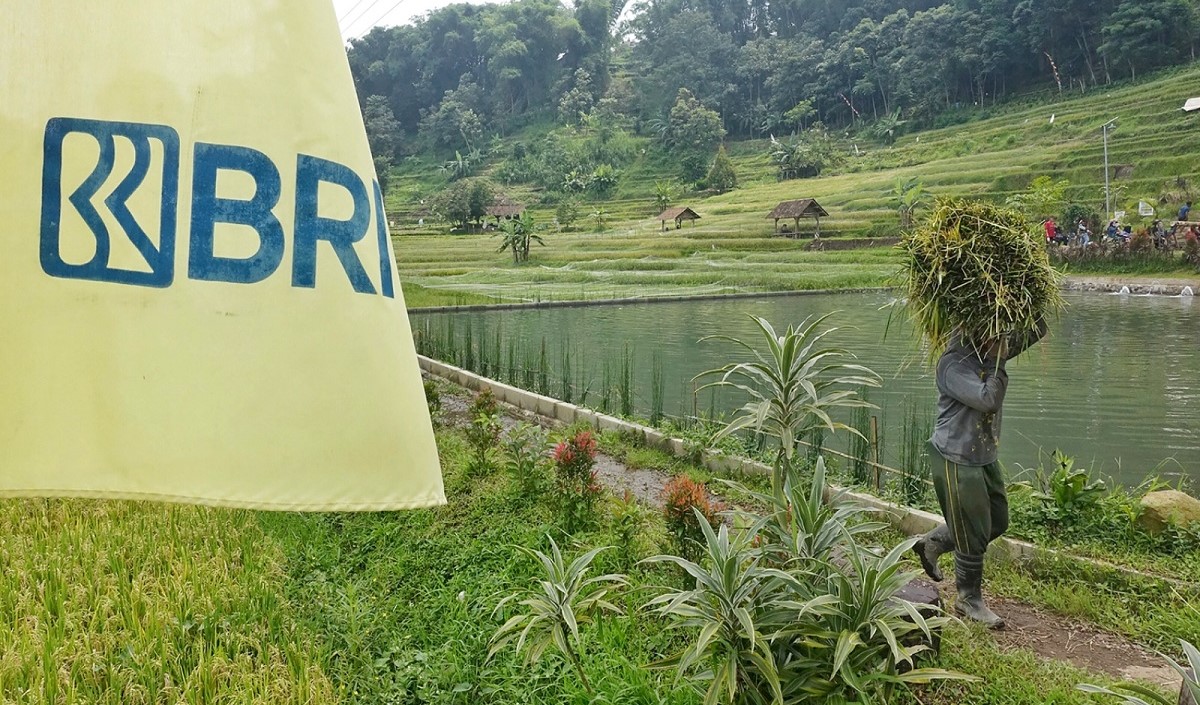 Ini 5 Komitmen Nyata BRI Dorong Peningkatan Kualitas Dan Daya Saing UMKM