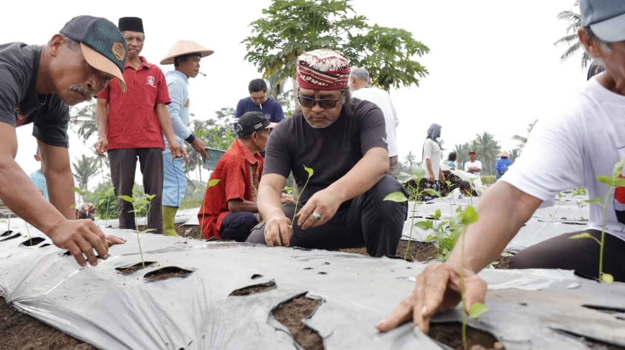 Tanam Cabai Bersama Warga, Calon Bupati Temanggung Agus Setyawan Sebut Petani Pahlawan Ketahanan Pangan