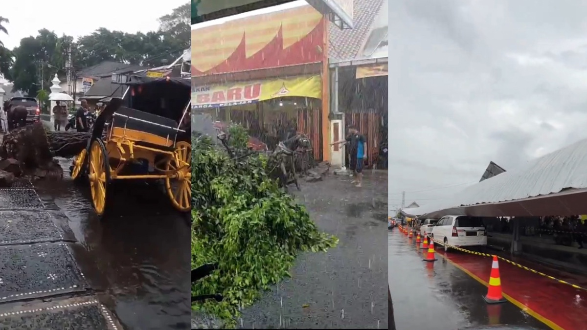 Pohon Tumbang Timpa Andong Hingga Atap Stasiun Ambruk di Jogja karena Angin Kencang