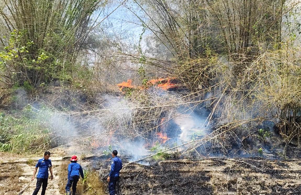 Peringatan Dini: Kebakaran Lahan Kian Marak, Warga Purworejo Diimbau Waspada