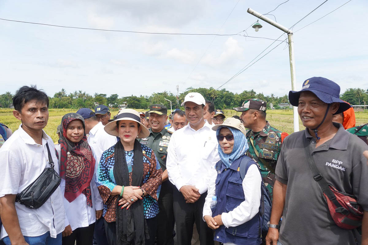 Mari Lindungi Petani Dengan Serap Gabah Sesuai HPP