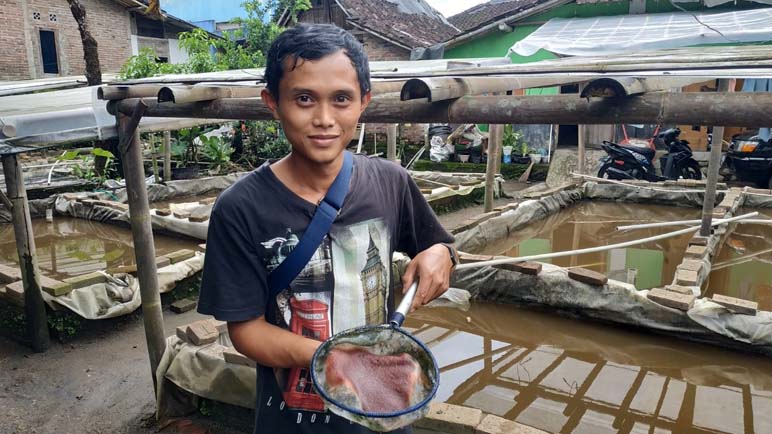 Berawal dari Hobi, Pemuda Ini Budidayakan Pakan Ikan Hias ‘Kutu Air’ 