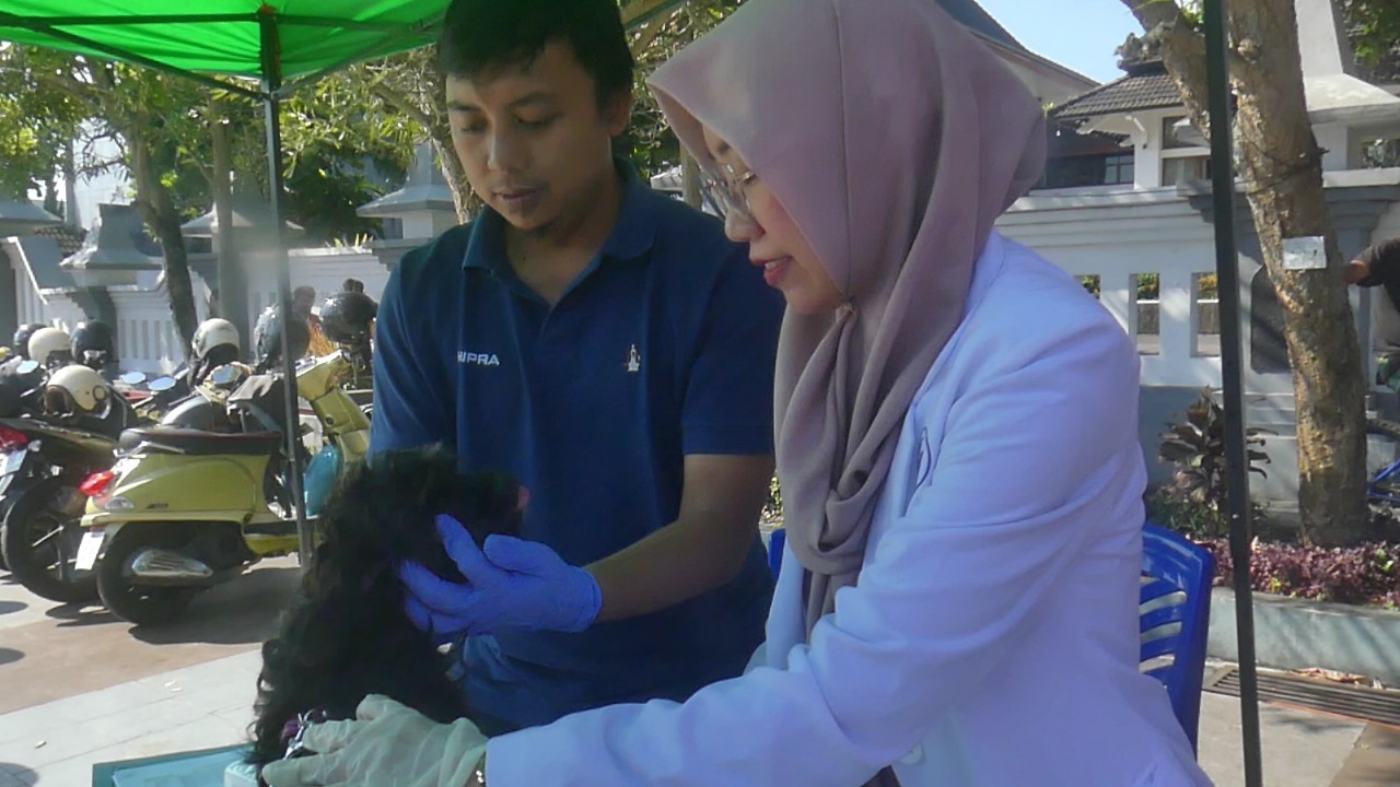 Temanggung Gelar Vaksinasi Rabies Gratis, 350 Hewan Peliharaan Sudah Divaksin