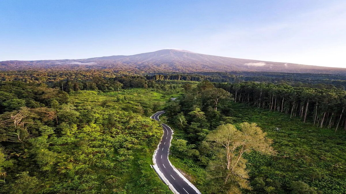 Main Ke Kebun Raya Baturaden Banyumas Pas Lagi Hujan Vibesnya Seru Banget!