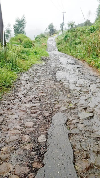 39 Persen Jalan Kabupaten di Wonosobo Rusak Berat