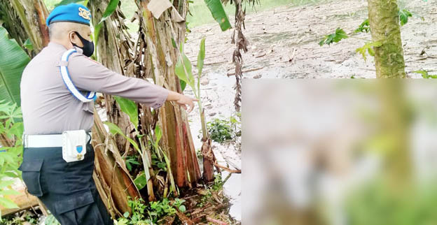 Mayat Tanpa Identitas Ditemukan Mengambang di Waduk Wadaslintang