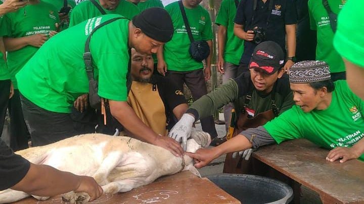 Baznas Kabupaten Magelang Sediakan 11 Kambing Untuk Praktik Penyembelihan Hewan Kurban
