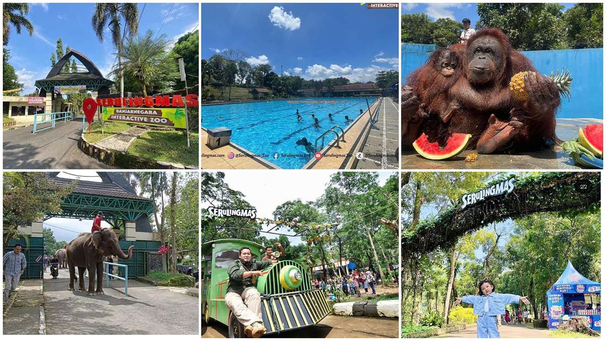 WOW! Ada Kebun Binatang di Banjarnegara Serulingmas Zoo, Destinasi Wisata Edukasi & Rekreasi yang Asyik & Seru