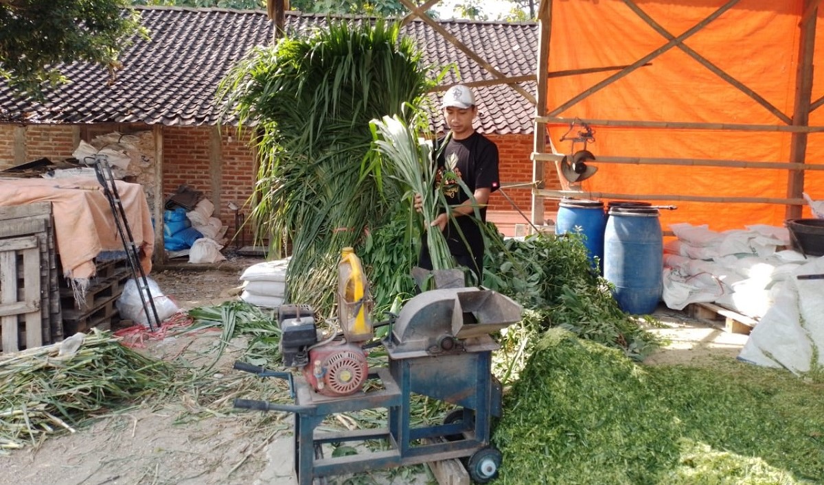 Kisah Pengusaha Pakan Ternak dari Ponorogo Ini Buktikan KUR BRI Bisa Bikin Usaha Berkembang
