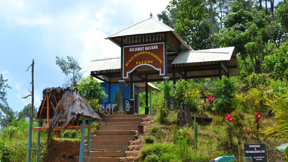 Mangir Gunung Payung Wisata Alam Terbuka Cocok untuk Foto Di Hutan Pinus dengan Rumah Pohon Unik