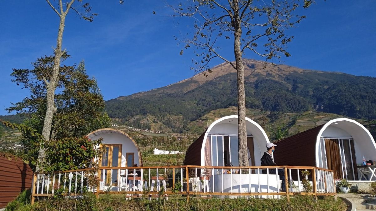 Serunya Menginap di Trianggulasi Glamping Magelang, Ada Kamar Bentuk Curve Sampai Nuansa Jejepangan 