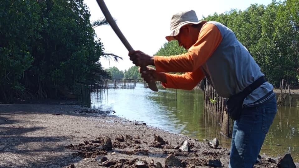 Aksi 'Mageri Segoro' di Pantai Keburuhan Ajak Masyarakat Purworejo Jaga Pesisir