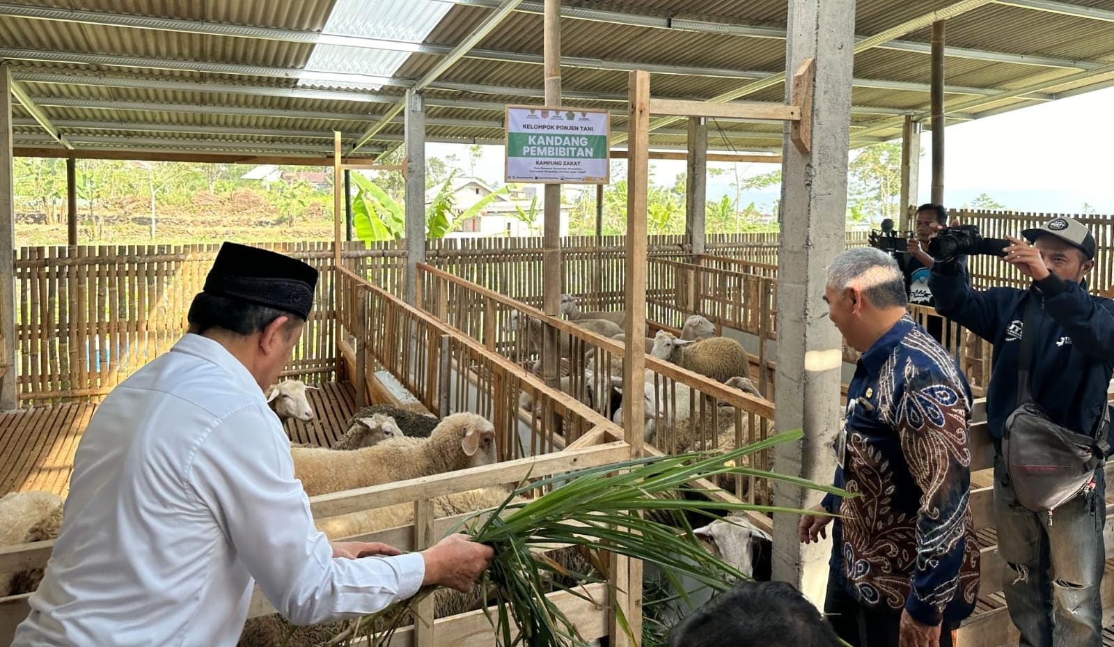 Balai Ternak Baznas di Wonosobo Siap Kembangkan Dombos - Dampingi Peternak Lokal