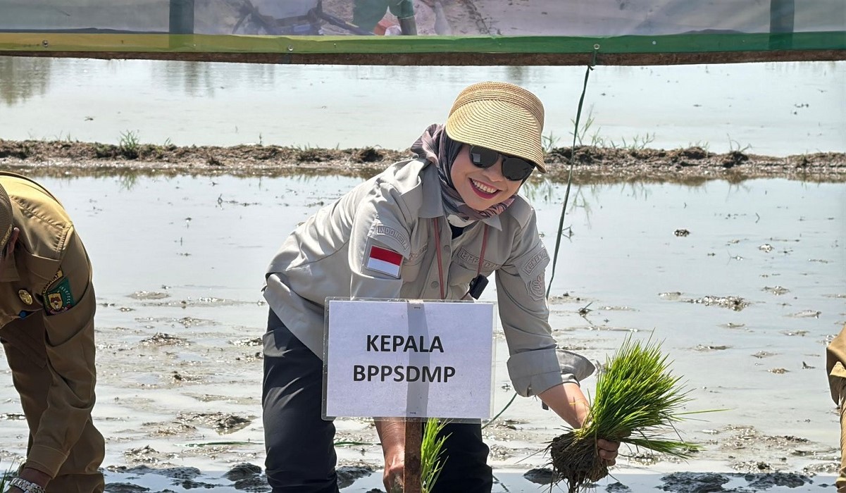 Perkuat Produksi Nasional, Kementan Dorong Peningkatan Indeks Pertanaman di Lahan Oplah dan CSR