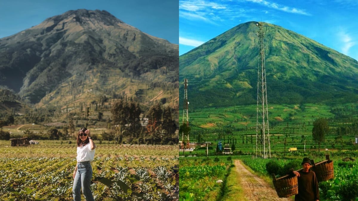 Menjadi Rest Area Terindah! Kledung Pass Temanggung, Suguhkan View Gunung Hingga Kebun Teh