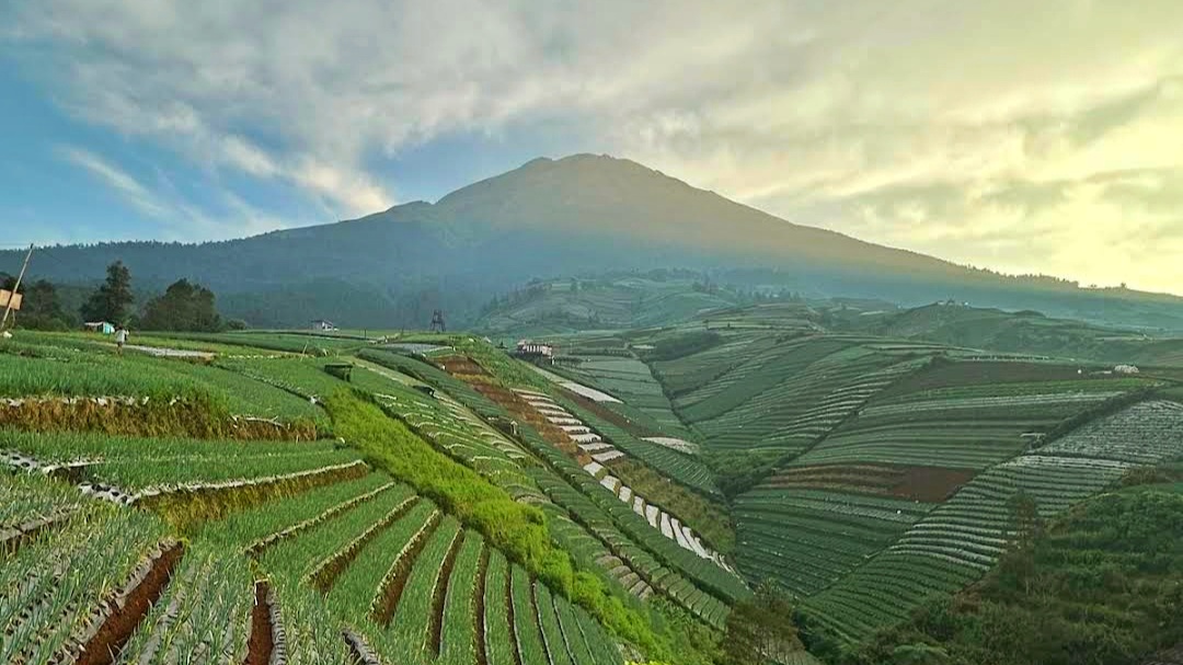 Bisa Lihat 5 Pegunungan! Puntuk Semelek Magelang Cuma Berjarak 1 Km dari Negeri Sayur Sukomakmur! 