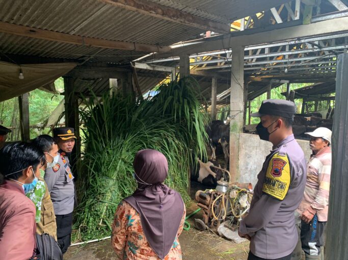 Disperpa Temanggung Diminta Tingkatkan Sosialisasi PMK ke Warga