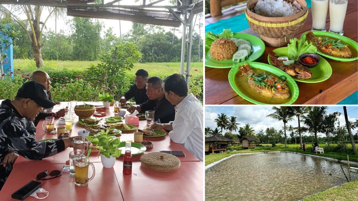 Sawah Kakung Resto: Sensasi Makan di Tengah Sejuknya Sawah dengan Menu Lezat di Magelang,  Lokasi dan Harganya