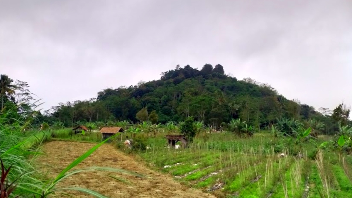 Bukit Balak Pakis, Petilasan Syekh Subakir yang Menjadi Lokasi Tradisi Sadranan!