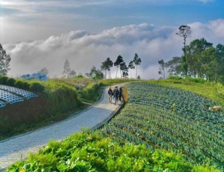 Warga Desa Adipuro Kabupaten Magelang Enggan Blumbang Roto Dijadikan Destinasi Wisata, Ini Alasannya!