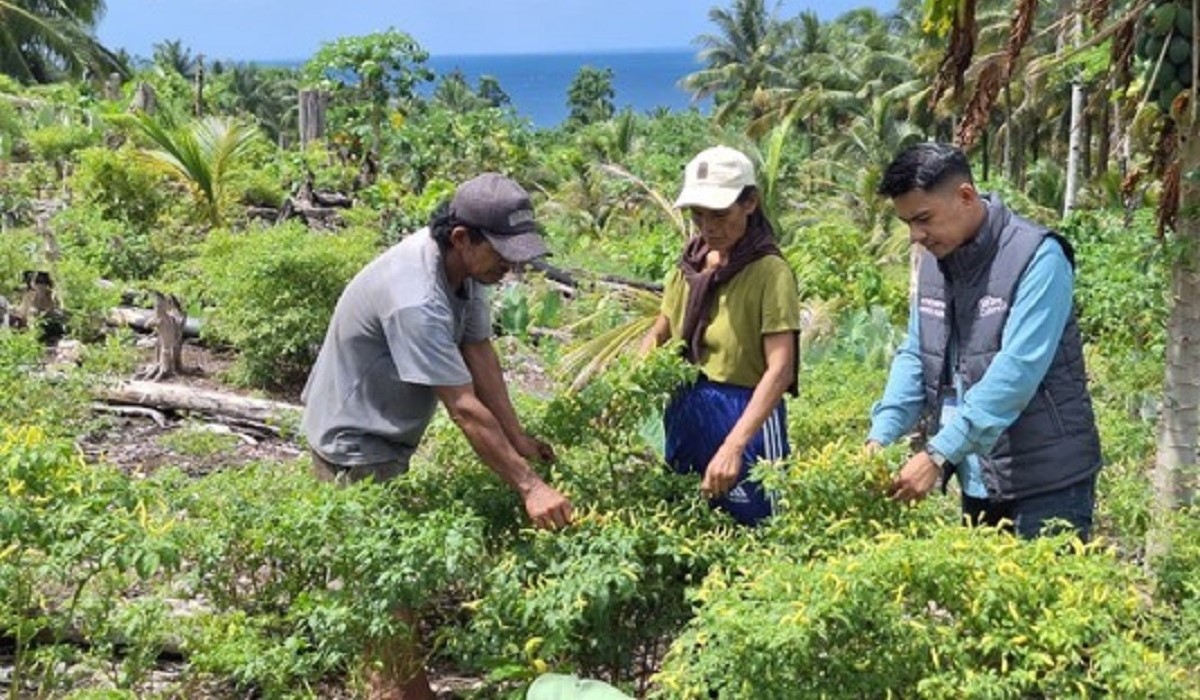 Di Tengah Bentang Kepulauan Talaud, Mantri BRI Hadir Menggerakkan Denyut Nadi Perekonomian