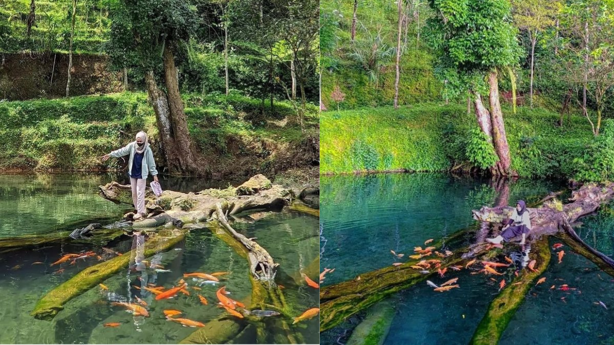 Wisata Hidden Gem Di Wonosobo, Umbul Mudal Slukatan Yang Penuh Pesona Alam! Berikut Rutenya!