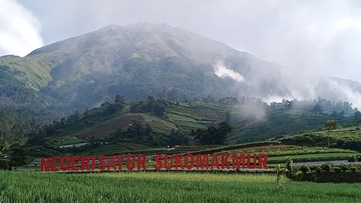 Serasa Berada Di Atas Awan, Wisata Terasering Sitegong  yang Recomended untuk Dikunjungi