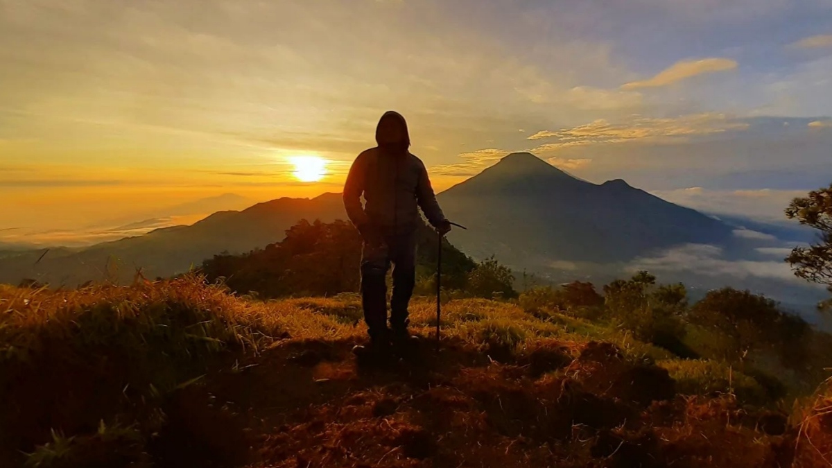 5 Spot Foto Terfavorit di Puncak Seroja Wonosobo yang Cantiknya Gak Main-main