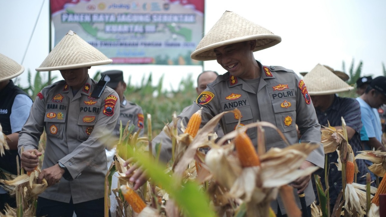 Polres dan Pemkab Purworejo Gelar Panen Raya Jagung Dukung Swasembada Pangan Nasional 2025