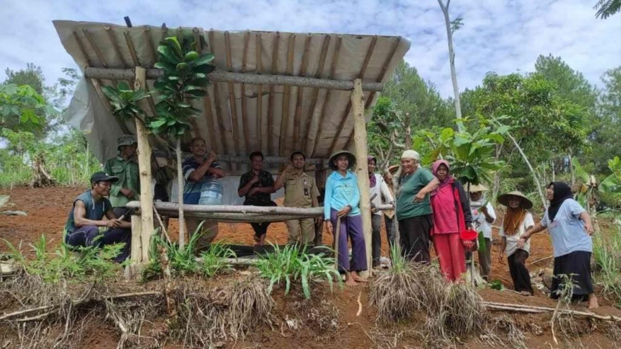 Lahan 8 Hektar di Gebang Purworejo Dimanfaatkan untuk Pengembangan Padi Gogo