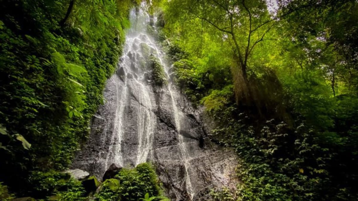 Menghipnotis Mata, Keindahan Air Terjun Ngesong yang Masih Tersembunyi