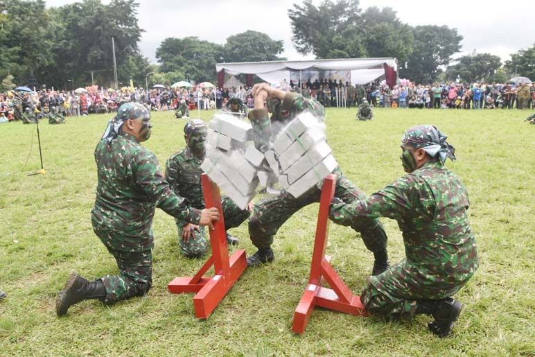 Atraksi Bela Diri Militer dan Pentas Kesenian Rakyat di Wonosobo Disambut Meriah