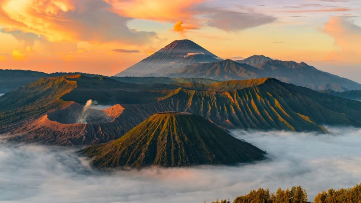 Jangan Ngaku Anak Gunung, Kalau Belum Tau 8 Fakta Menarik Seputar Gunung Merbabu