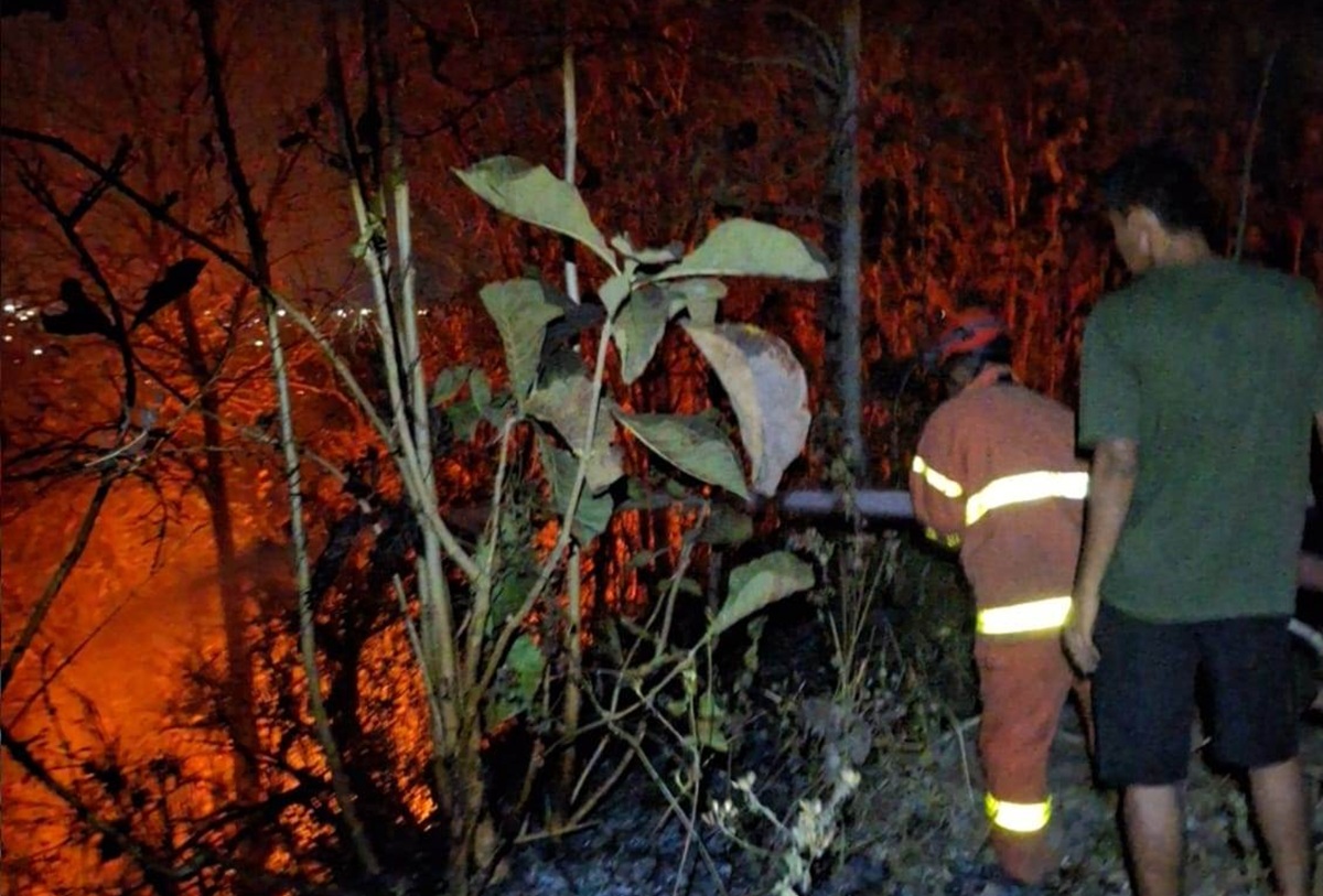 Kawasan Gunung Tugel Kutoarjo Kebakaran, Api Menjalar Dekati Area Makam Cina