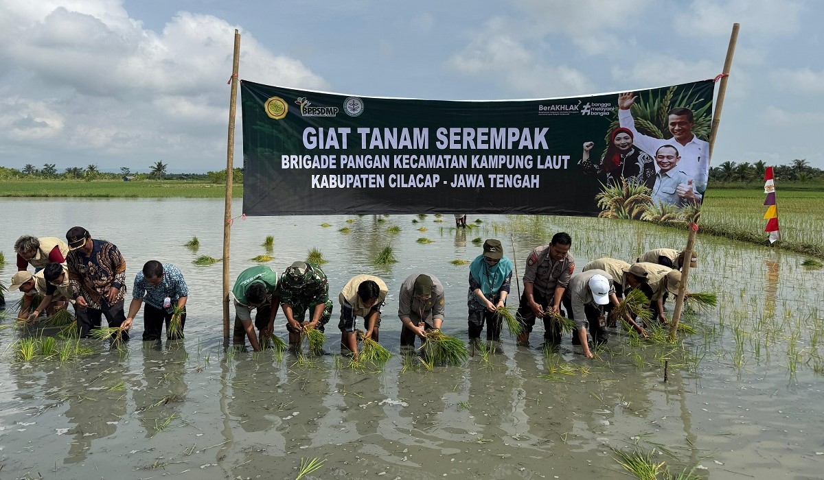 Perkuat Produksi Nasional, Brigade Pangan Cilacap Lakukan Tanam Serempak
