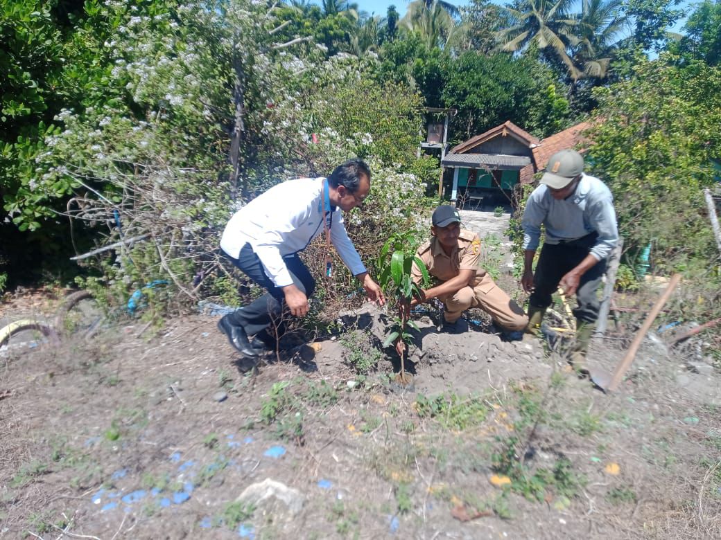 Wilayah Pesisir Pantai Selatan Purworejo Dihijaukan, Warga Dapat Bantuan 200 Bibit Pohon