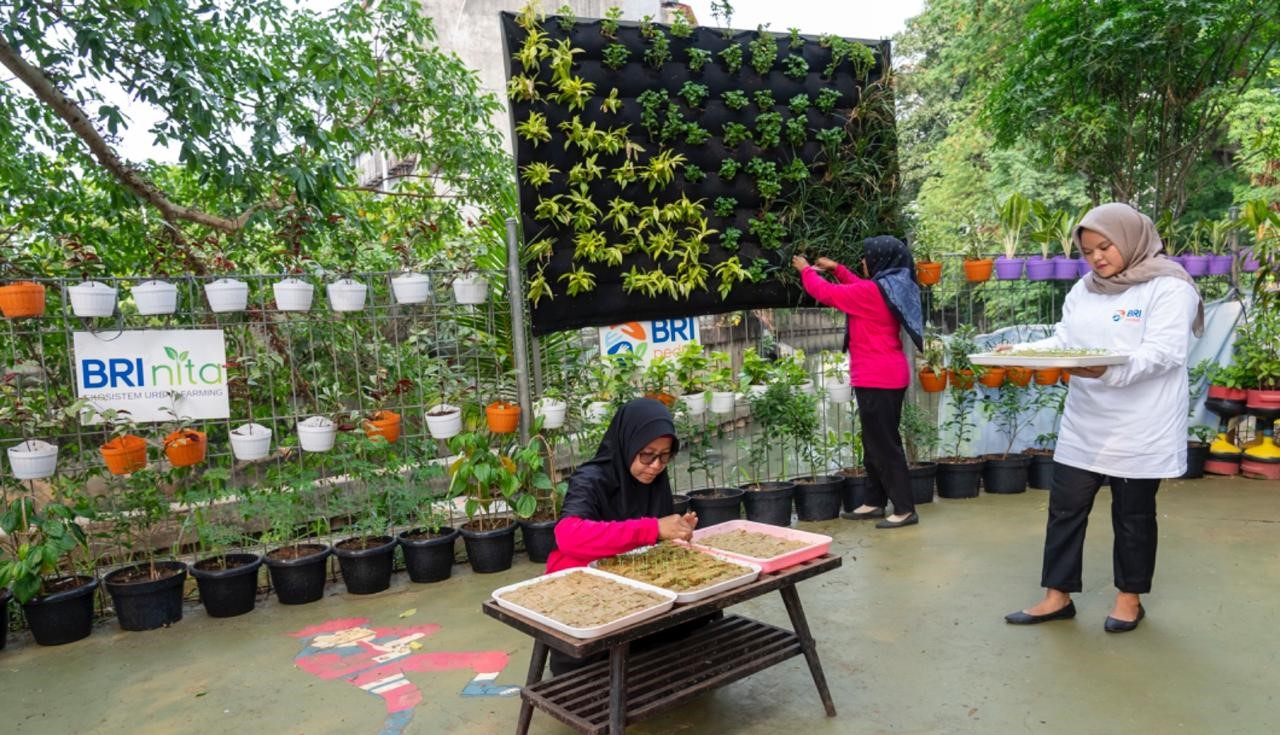 BRI Diakui atas Peran Nyata dalam Urban Farming dan Pemberdayaan Perempuan