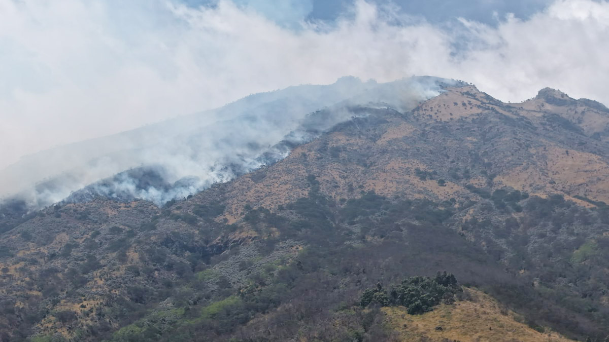 Kebakaran Gunung Sumbing Meluas ke Magelang, 19 Hektare Lahan RPH Mangli Hangus