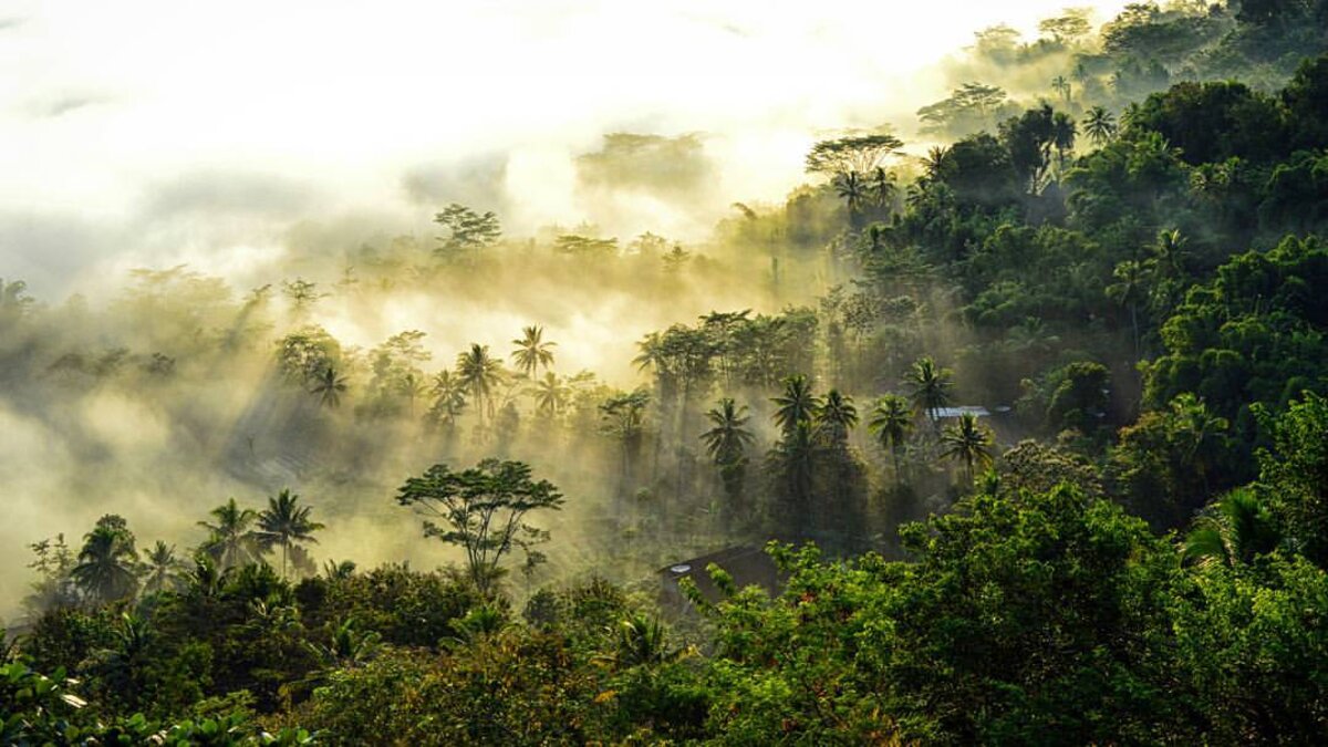 Menikmati Indahnnya Sunrise dari Ketinggian Punthuk Kendil Magelang