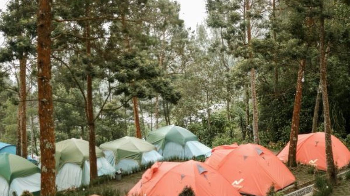 3 Rekomendasi Glamping di Kopeng, Serunya Menginap Bak di Hotel Berbintang dengan View Merbabu 